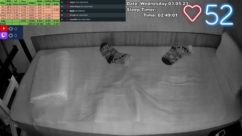 sleep stream boner|wizhunt .